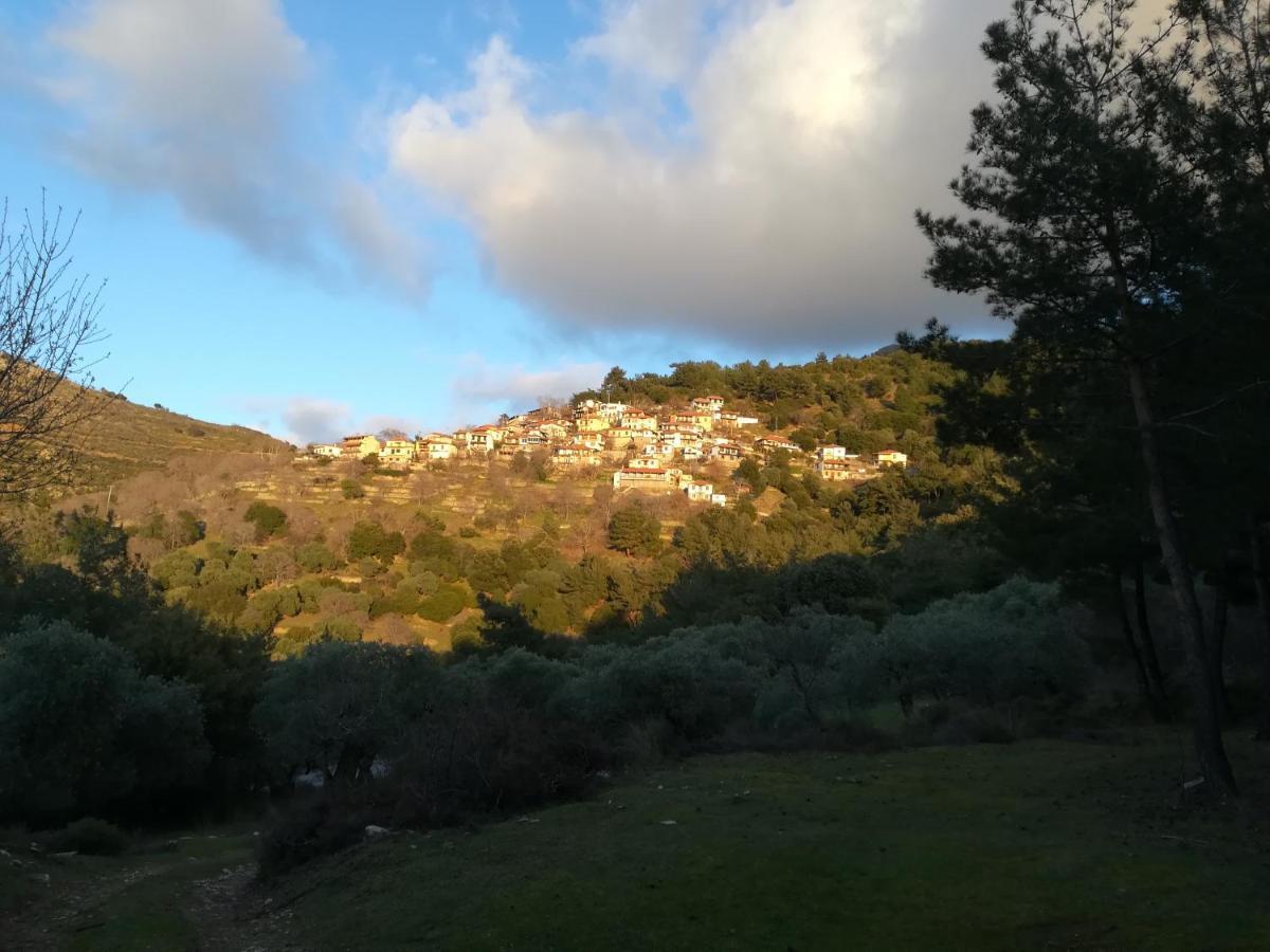 Eden View Apartment Sotir Екстериор снимка
